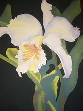 Orchid art print for sale  Irvine
