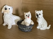 west highland terrier gebraucht kaufen west highland terrier gebraucht kaufen Saarbrücken