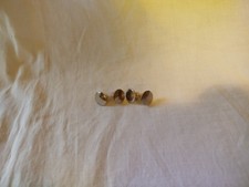 gemelli camicia usato  Legnano
