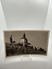 bergschafe gebraucht kaufen bergschafe gebraucht kaufen Reisbach