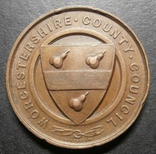 Medallion school attendance for sale  WORTHING