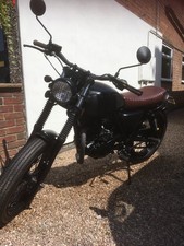 2020 mutt mongrel for sale  COALVILLE