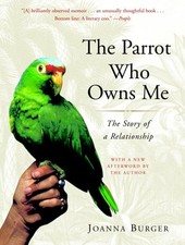 Parrot owns story for sale  North Smithfield