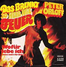 Peter rloff brennt gebraucht kaufen  Deutschland
