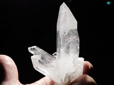 Larger semi translucent for sale  Salt Lake City