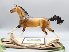 akhal teke for sale  Las Vegas