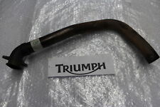Triumph daytona 955i gebraucht kaufen  Knittlingen