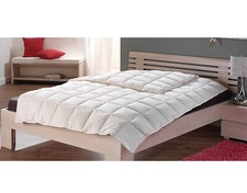 bettdecke 155x220 daunen gebraucht kaufen bettdecke 155x220 daunen gebraucht kaufen Neuenstadt am Kocher