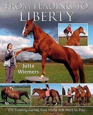 Leading liberty 100 for sale  Sulphur