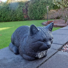 Lovely sleeping cat for sale  DAGENHAM