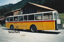 Foto saurer postautobus gebraucht kaufen  Berlin