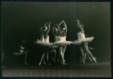 10x alte foto gebraucht kaufen  Bad Salzuflen