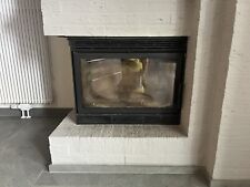 Spartherm kaminkassette gebraucht kaufen  Langerwehe