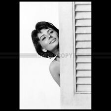 Photo .007525 sophia d'occasion  Martinvast