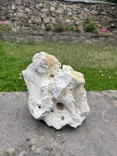 Aqarium rock fish for sale  LEICESTER