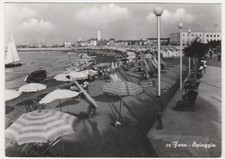 Fano pesaro spiaggia usato  Isola Vicentina