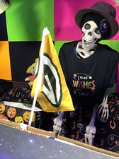 Green bay packers for sale  Cortland