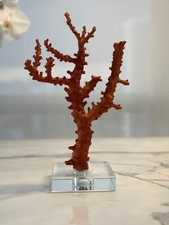 Dramatic coral lucite for sale  Miami
