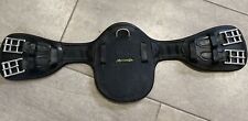 Amerigo protector dressage for sale Amerigo protector dressage for sale  BOSTON