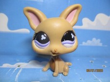 Petshop chien chihuahua d'occasion Petshop chien chihuahua d'occasion  Bailleul