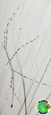 Ramulus togianense eggs x30 phasmes/phasmids/Phasmiden/stick insect, usado comprar usado  Enviando para Brazil