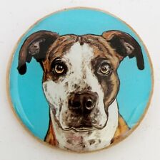 Pit bull terrier for sale  Encinitas