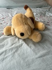 Large spot dog for sale  ILMINSTER