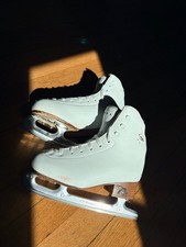 Risport electra light for sale  Newton Highlands