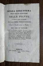 Viviani struttura degli usato  Genova