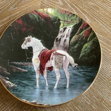 Blackfoot war pony for sale  Monticello