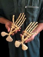 Jurassic Two Paddle Mosasaur tamanho 32 cm pré-histórico marinho riptiles dinasaur  comprar usado  Enviando para Brazil