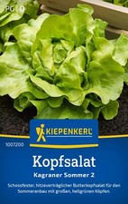 Kiepenkerl kopfsalatsamen kagr gebraucht kaufen  Aurich