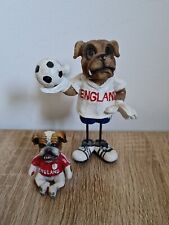 England bull dog for sale  BILLINGHAM