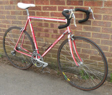 60cm evans vitus for sale  BANBURY