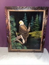 Vintage american bald for sale  Southborough