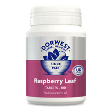 Usado, Raspberry Leaf 100 comprimidos comprar usado  Enviando para Brazil