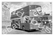 Bus photograph kelvin for sale  ALFRETON