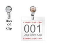 Havanese dog codez5 for sale  SHEFFIELD