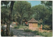 Cecina pietro palazzi usato  Isola Vicentina
