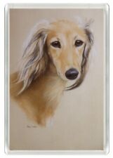 Saluki head study for sale  COLEFORD