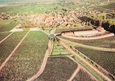 Pauillac château mouton d'occasion Pauillac château mouton d'occasion  France