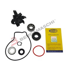 Magneti marelli kit usato  Tribogna
