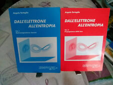 Elettromagnetismo classico ott usato  Italia