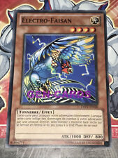 Carte electro faisan d'occasion  Bruay-la-Buissière