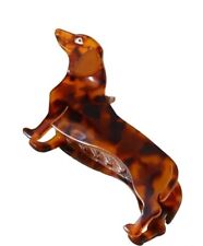 dachshund pup for sale dachshund pup for sale Miami