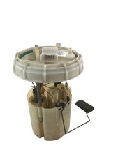 0580314137 pompa carburante usato  Castagnaro