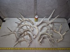 Bulk lot 9.2lb for sale  Valley City