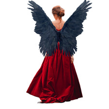 large angel wings for sale  Fremont