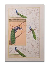 Adorable Familia Pavo Real Ave Hecho a Mano Pintura Miniatura 27.9X19.1cm comprar usado  Enviando para Brazil