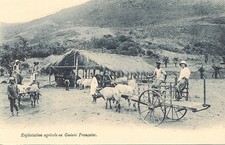 Carte postale afrique d'occasion  Toulon-